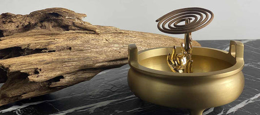 Where does Agarwood come from?