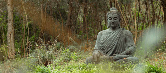 Who is Buddha?